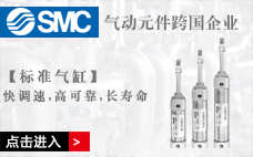  SMC standard cylinder
